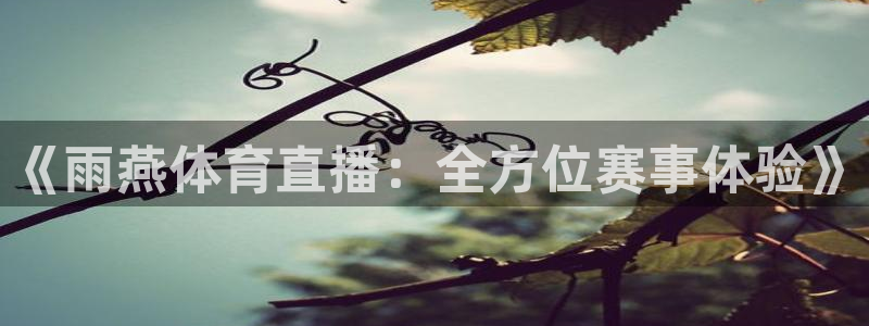 黑白直播免费体育直播高清：《雨燕体育直播：全方位赛事体验》