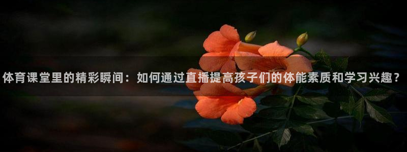 黑白直播体育免费版下载：体育课堂里的精彩瞬间：如何通过直播提高孩子们的体能素质和学习兴趣？