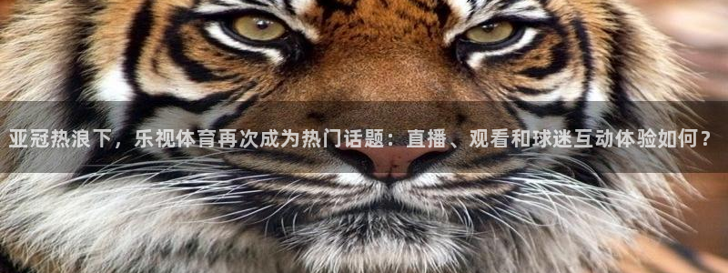 黑白直播nba：亚冠热浪下，乐视体育再次成为热门话题：直播、观看和球迷互动体验如何？