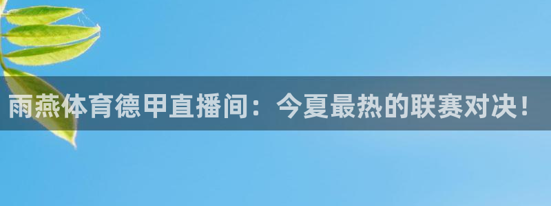 黑白直播体育在线直播免费观看：雨燕体育德甲直播间：今夏最热的联赛对决！